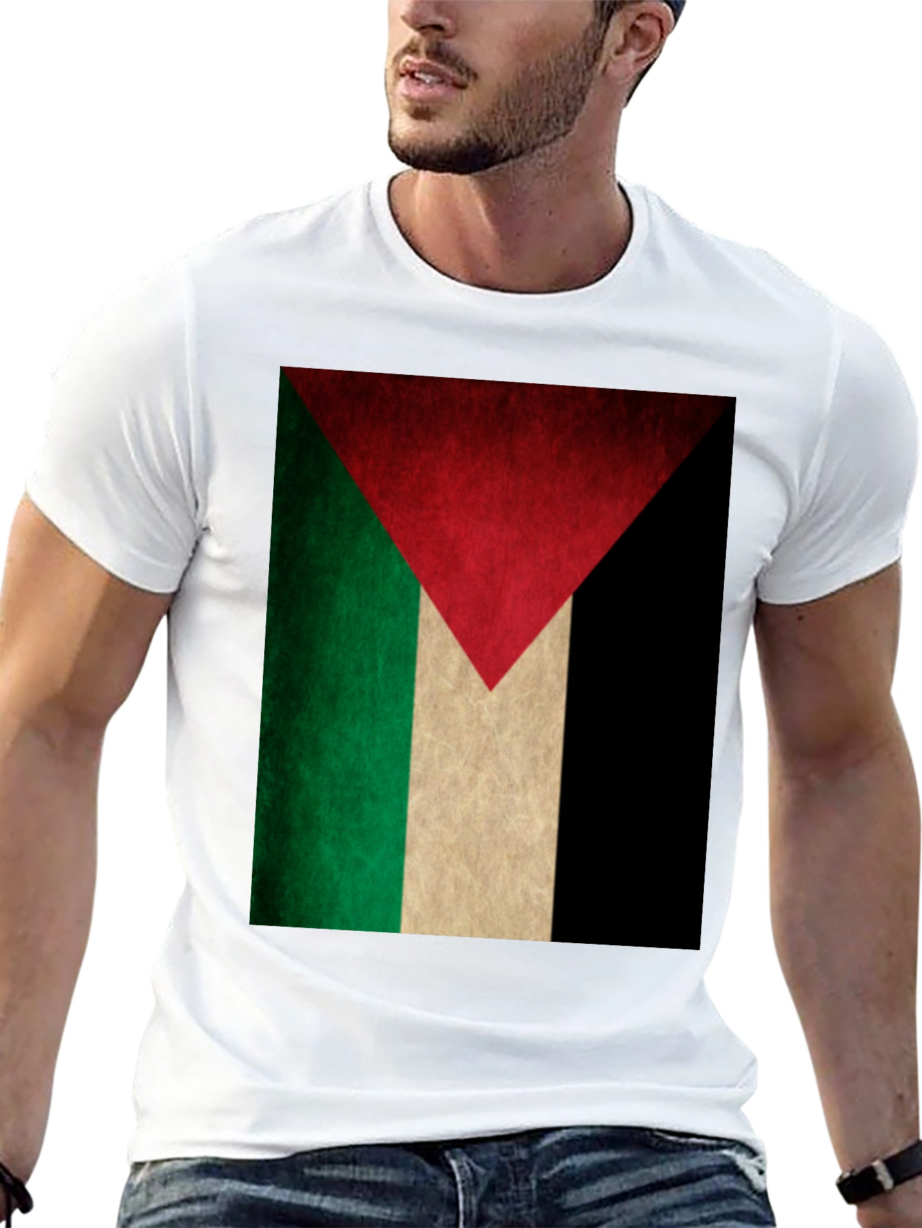Palestine Flag Graphic Tee - Black T-Shirt