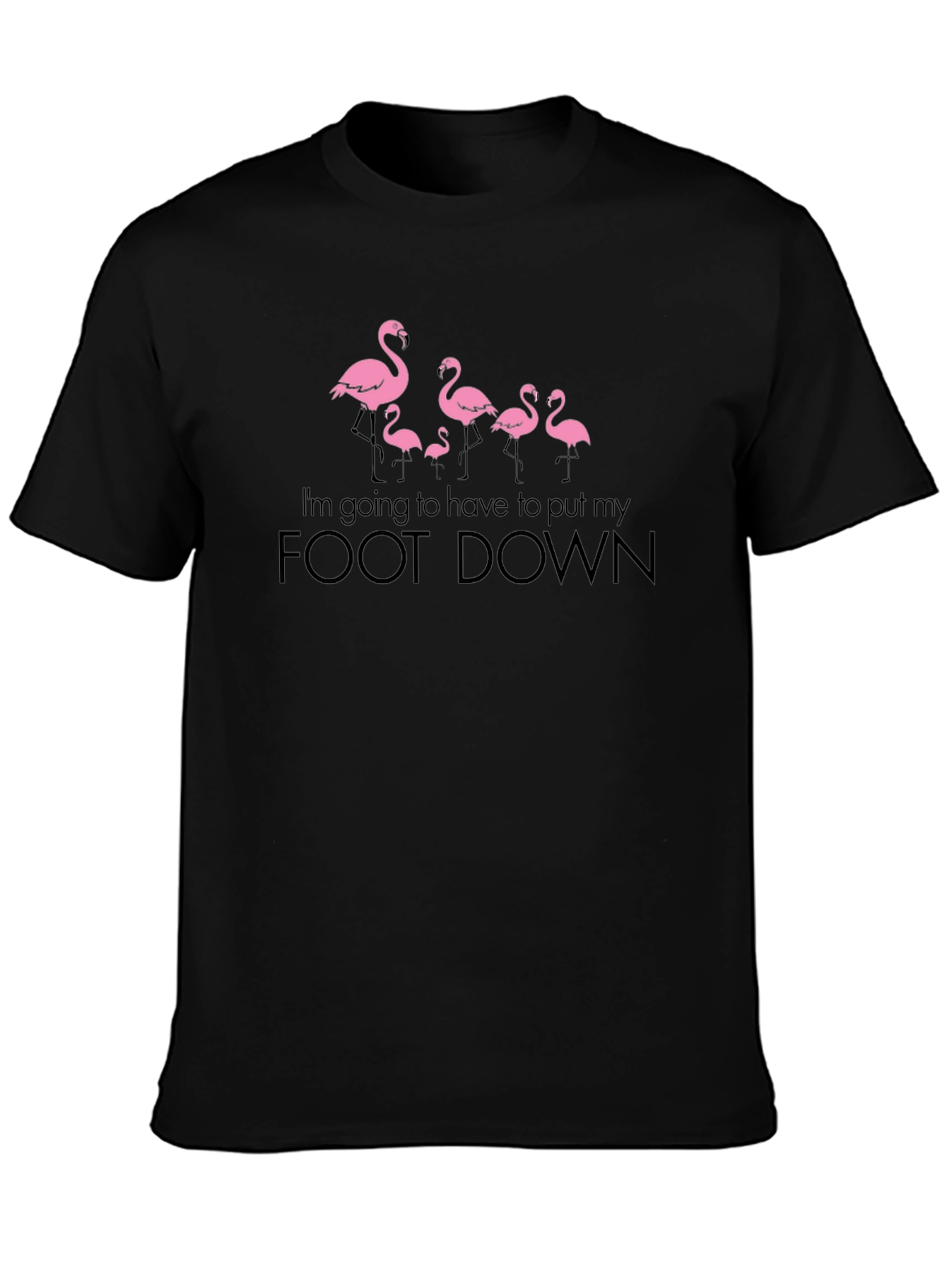 Funny Flamingo Foot Down Graphic T-Shirt