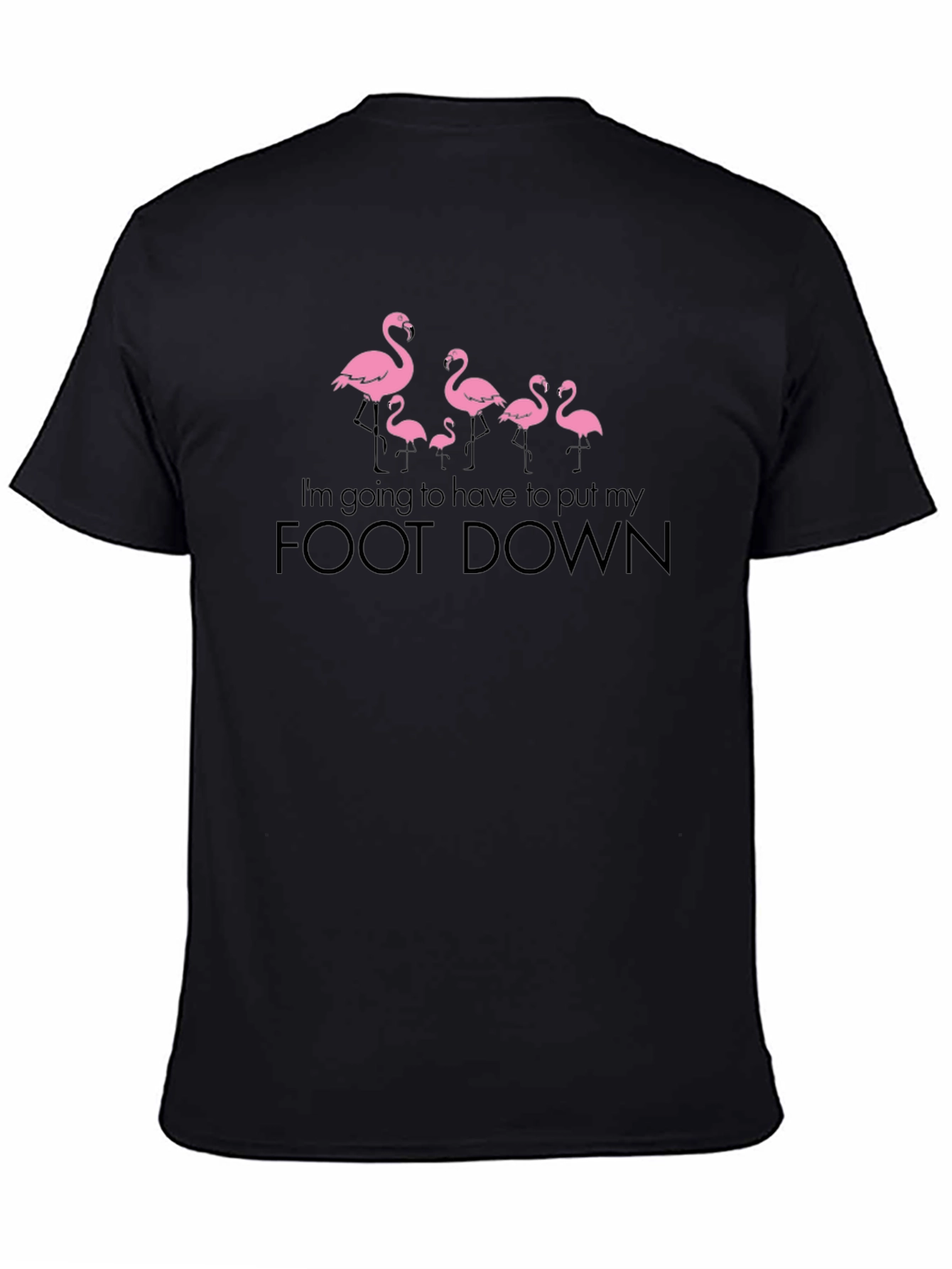 Funny Flamingo Foot Down Graphic T-Shirt
