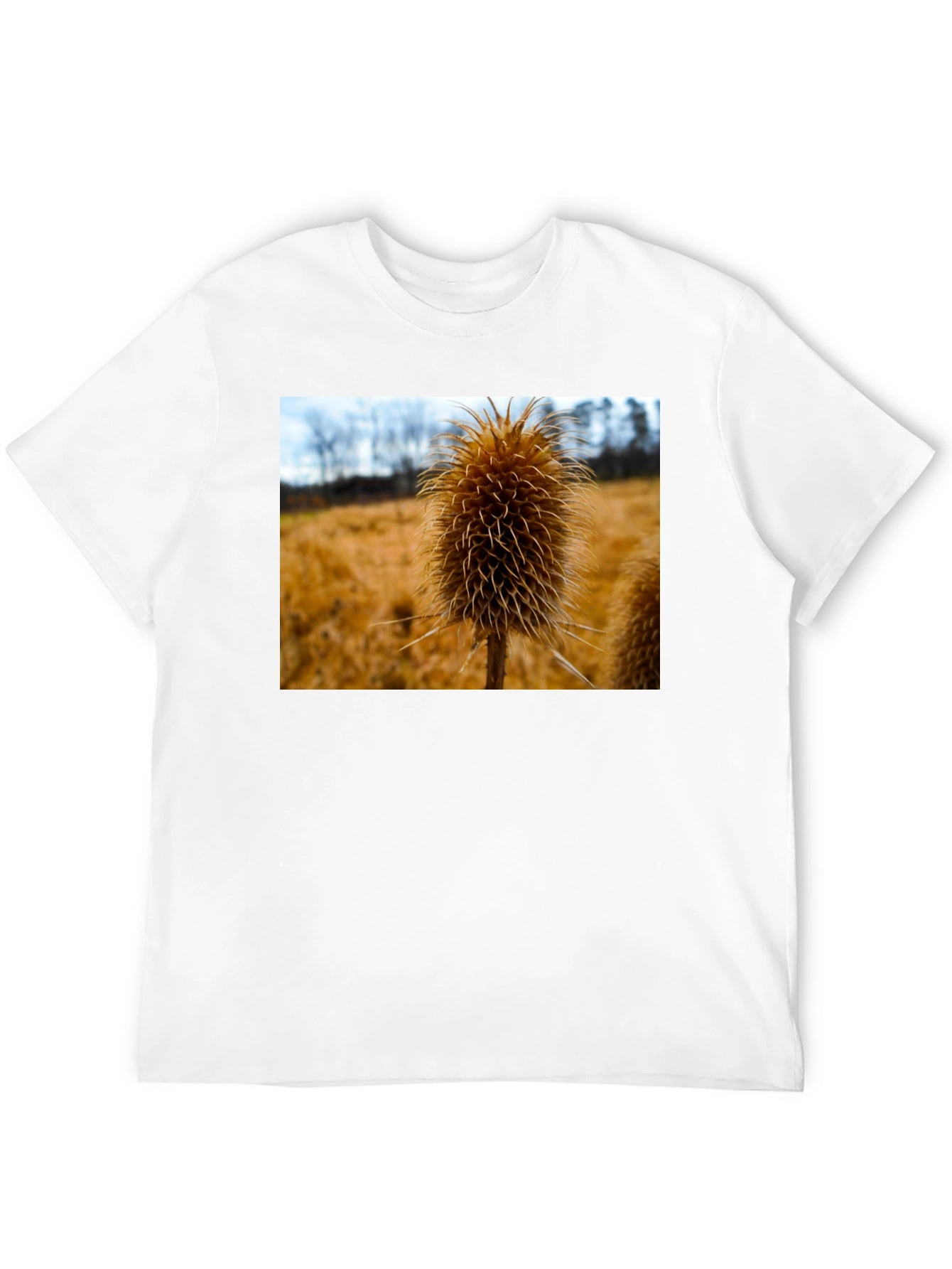 Teasel T-Shirt - Nature Inspired Design