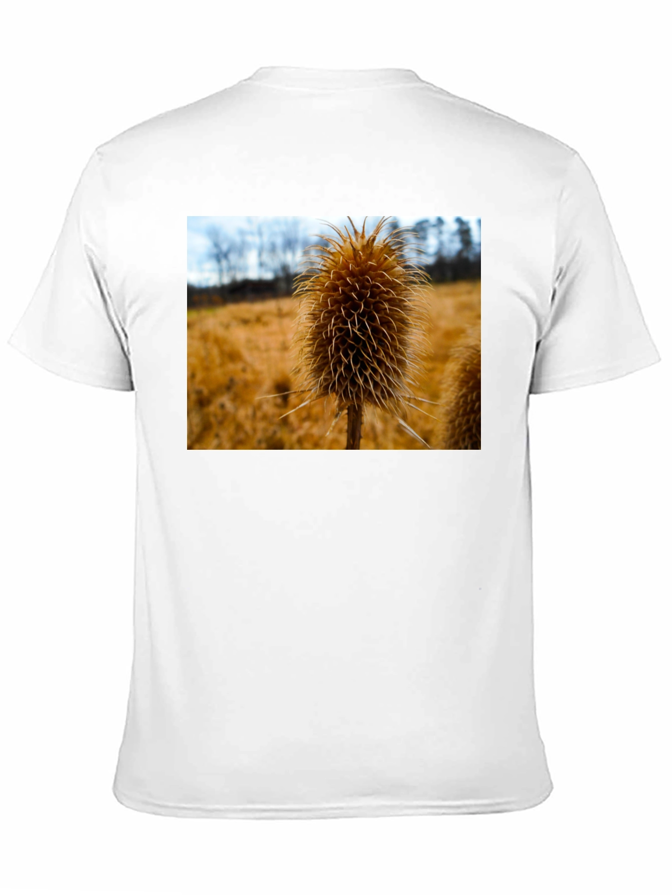 Teasel T-Shirt - Nature Inspired Design