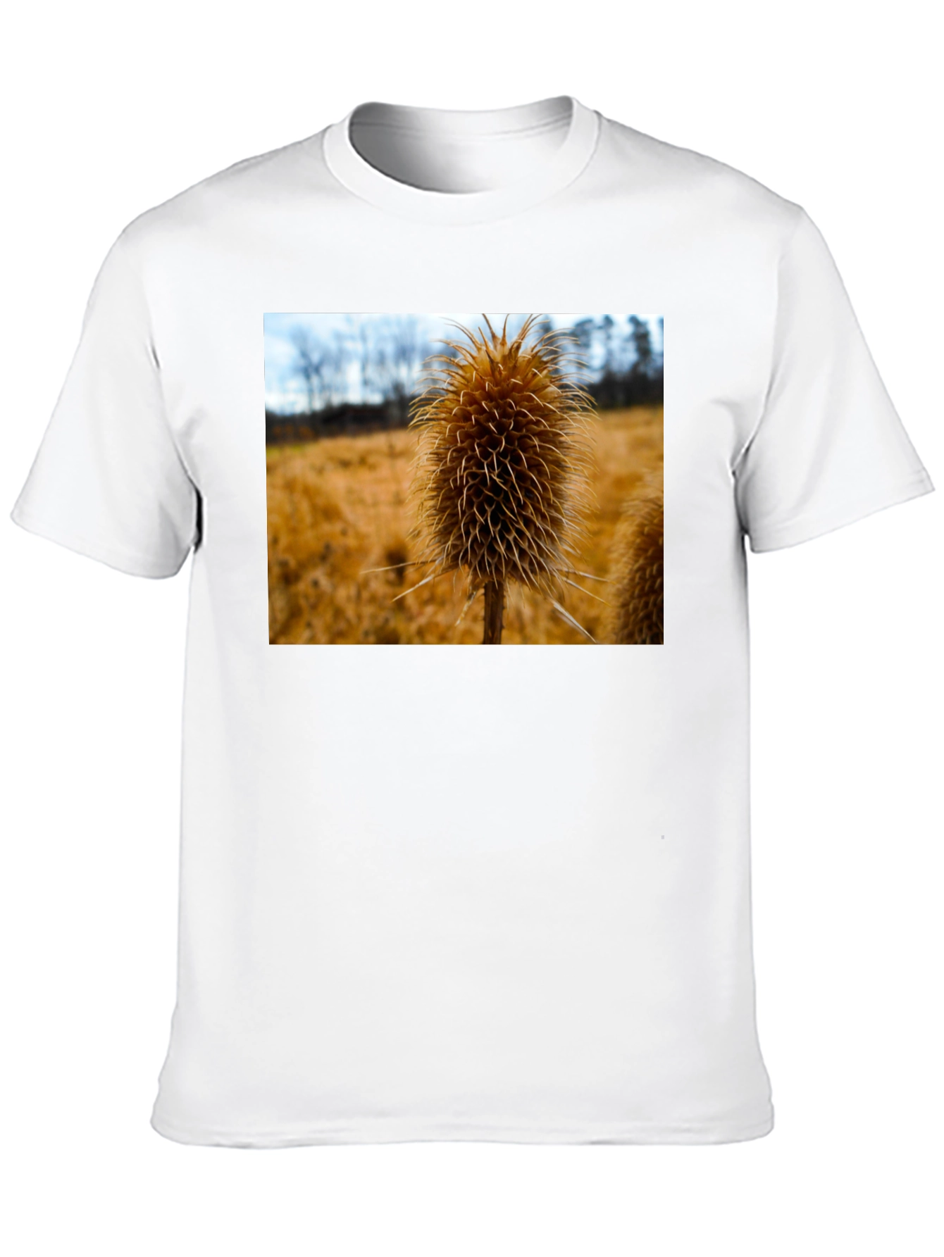 Teasel T-Shirt - Nature Inspired Design