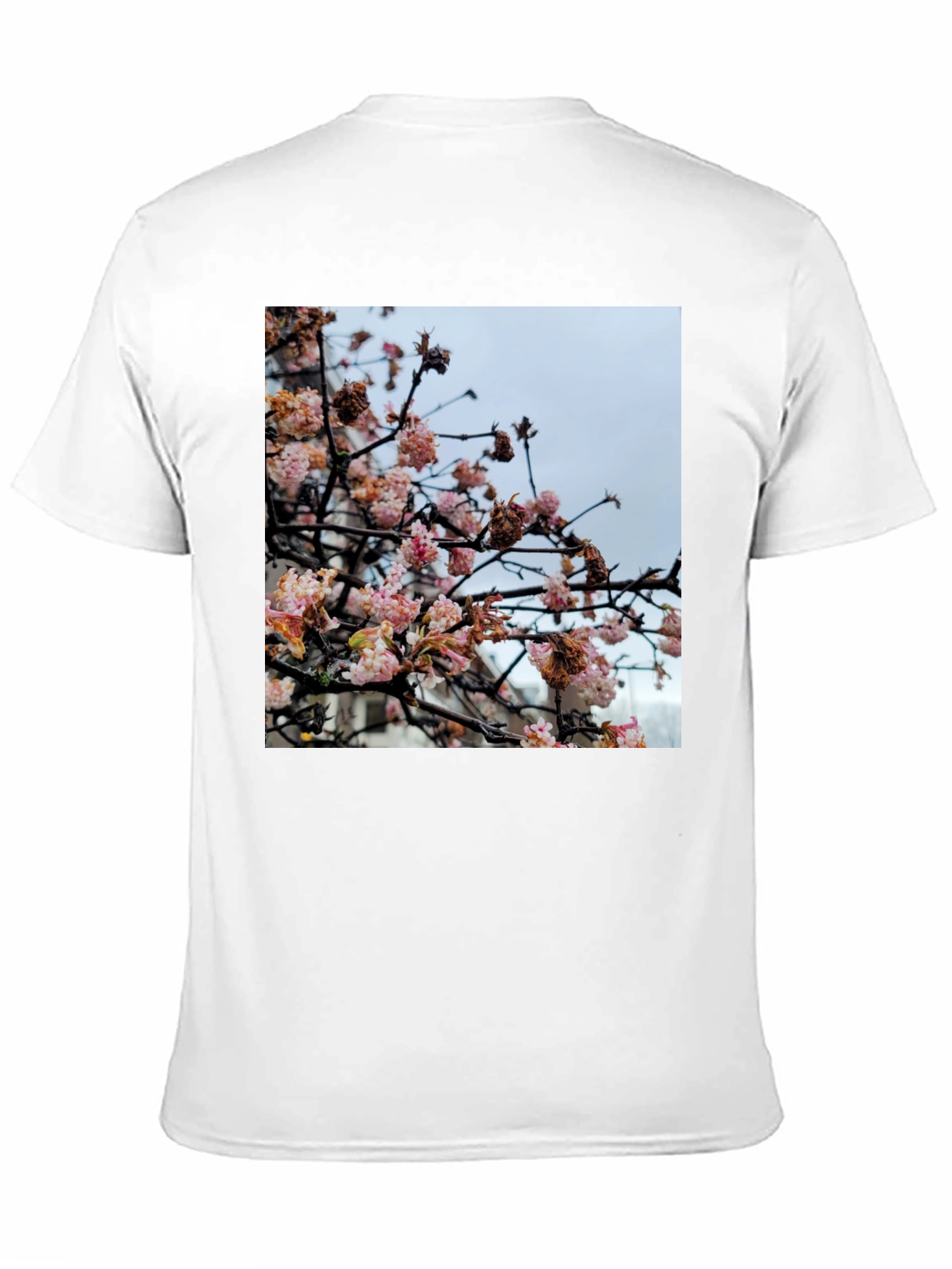 Floral Blossom Print Tee