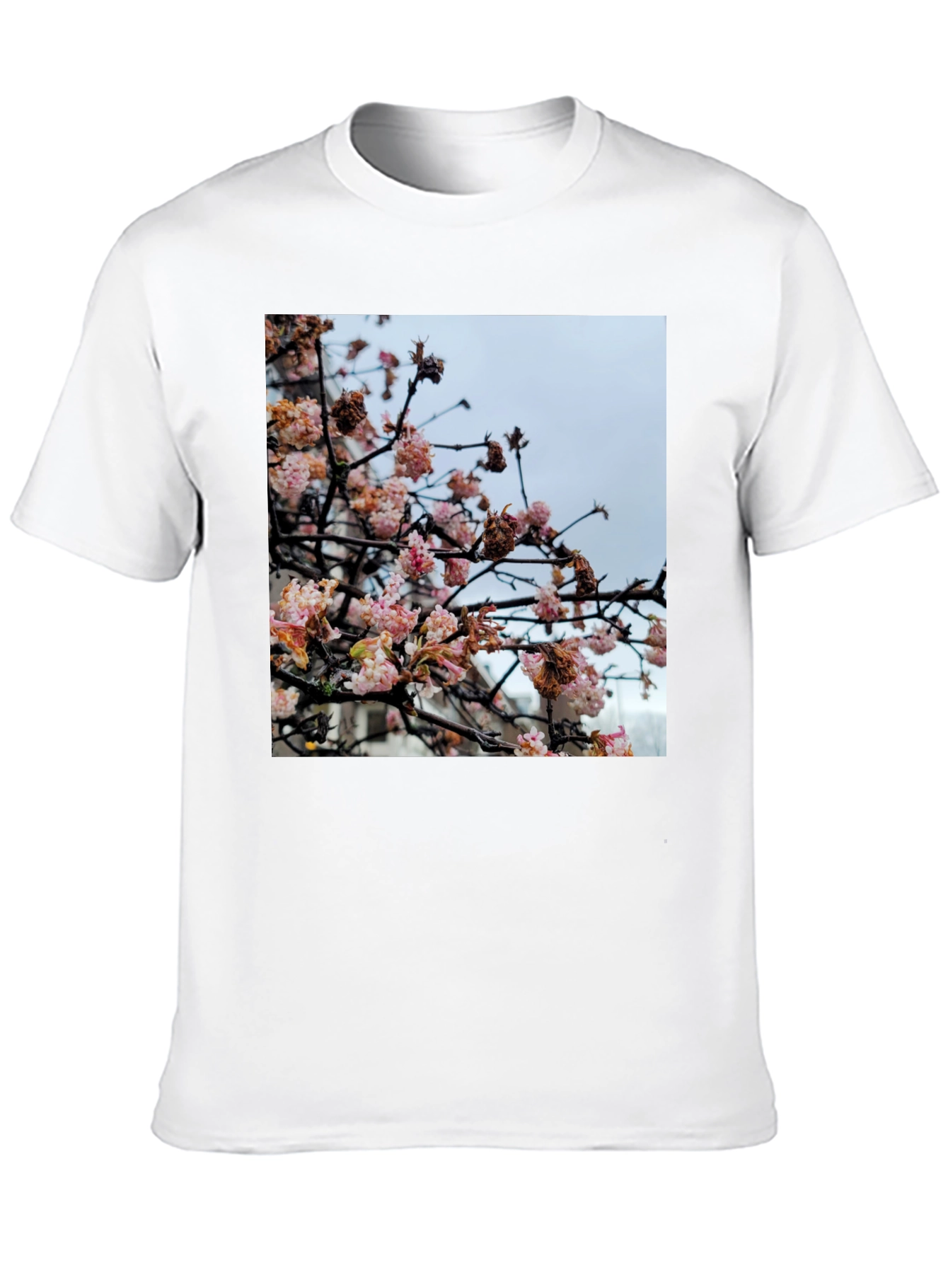 Floral Blossom Print Tee