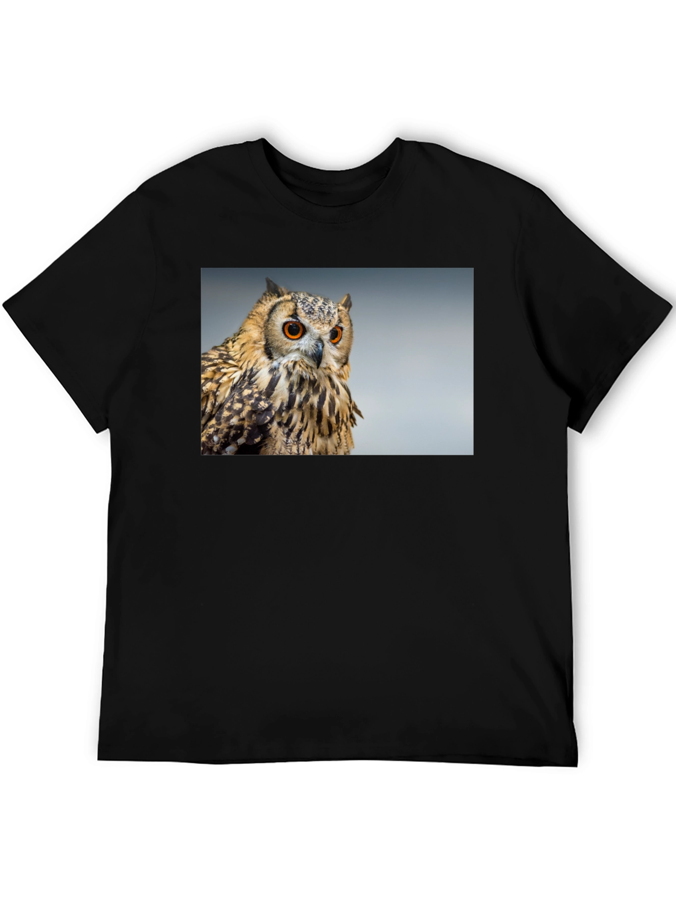 Owl Graphic Tee - Mens Black T-Shirt