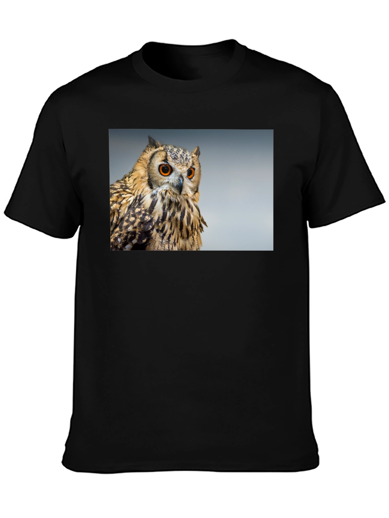 Owl Graphic Tee - Mens Black T-Shirt