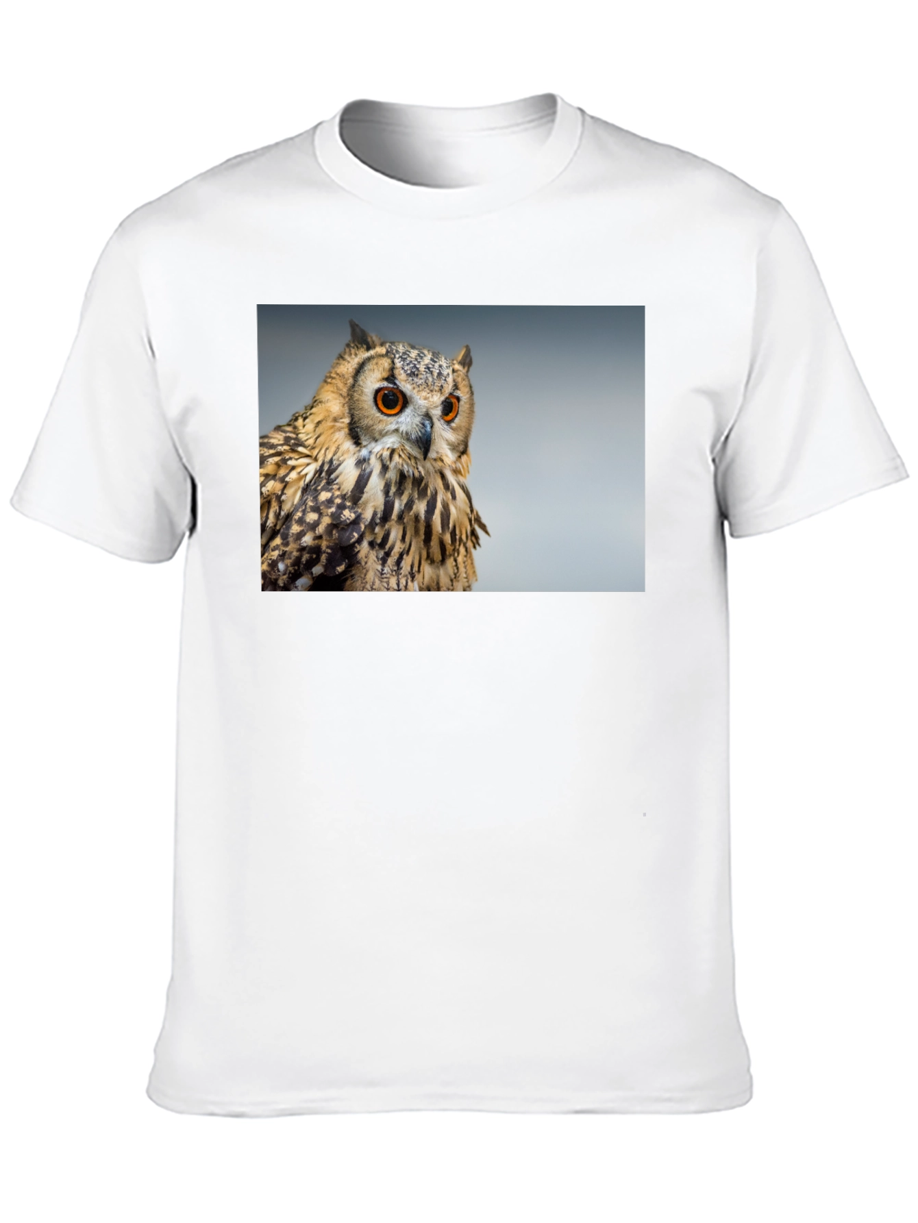 Owl Graphic Tee - Mens Black T-Shirt