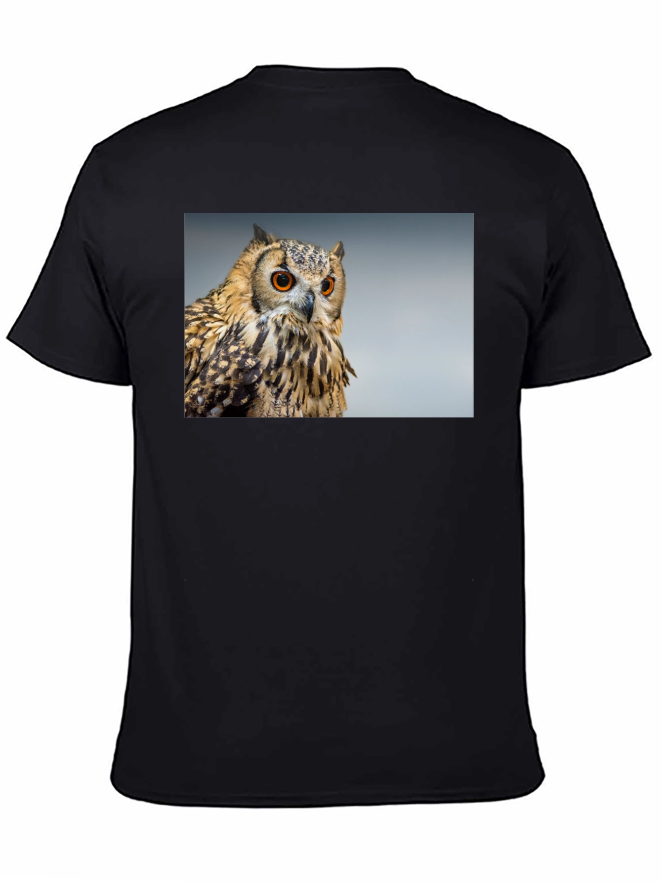 Owl Graphic Tee - Mens Black T-Shirt