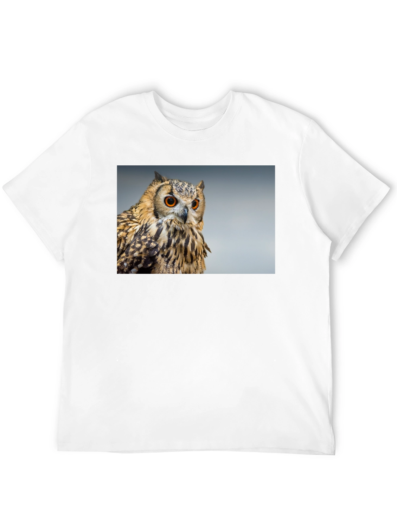 Owl Graphic Tee - Mens Black T-Shirt