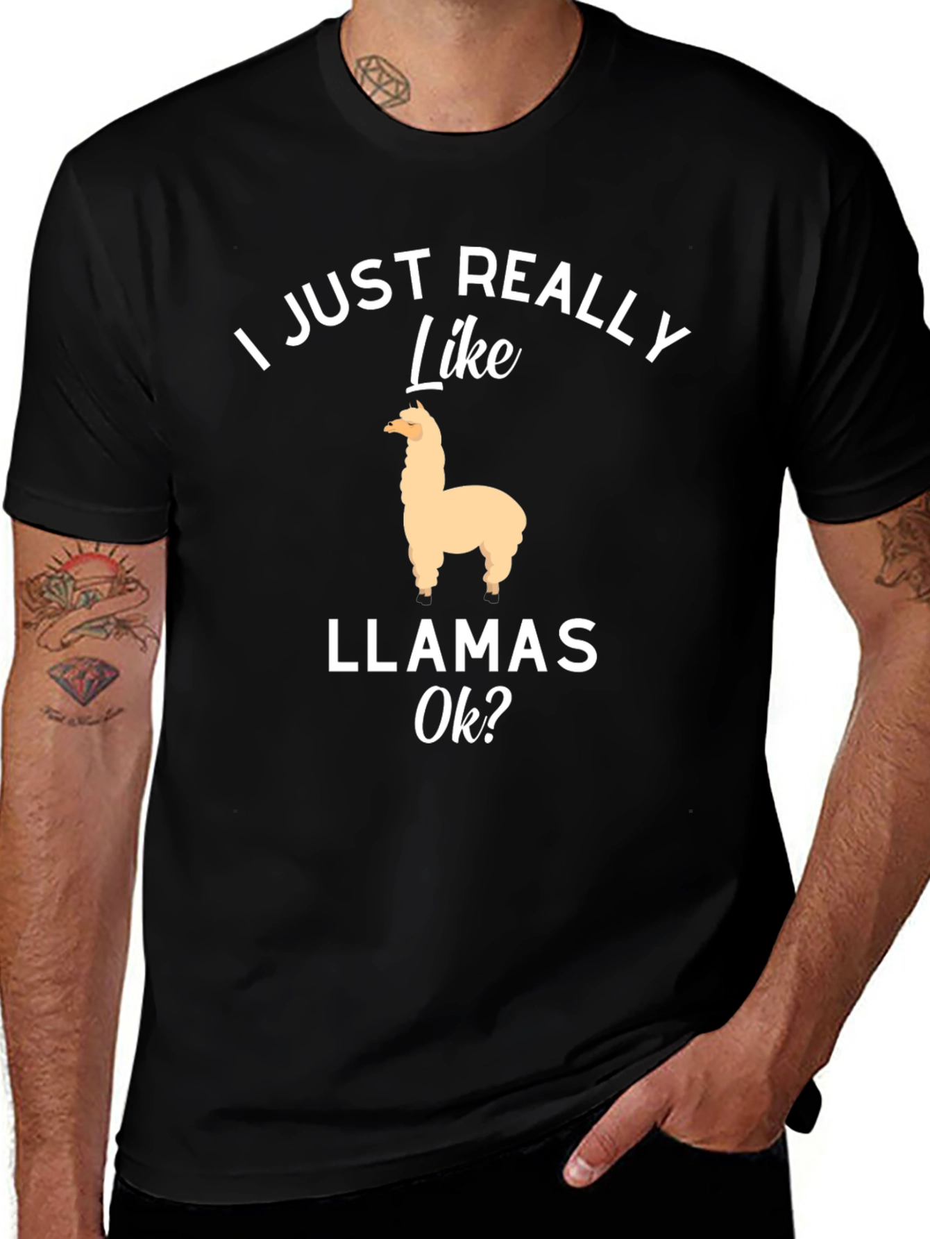 I Just Really Like Llamas Ok? T-Shirt