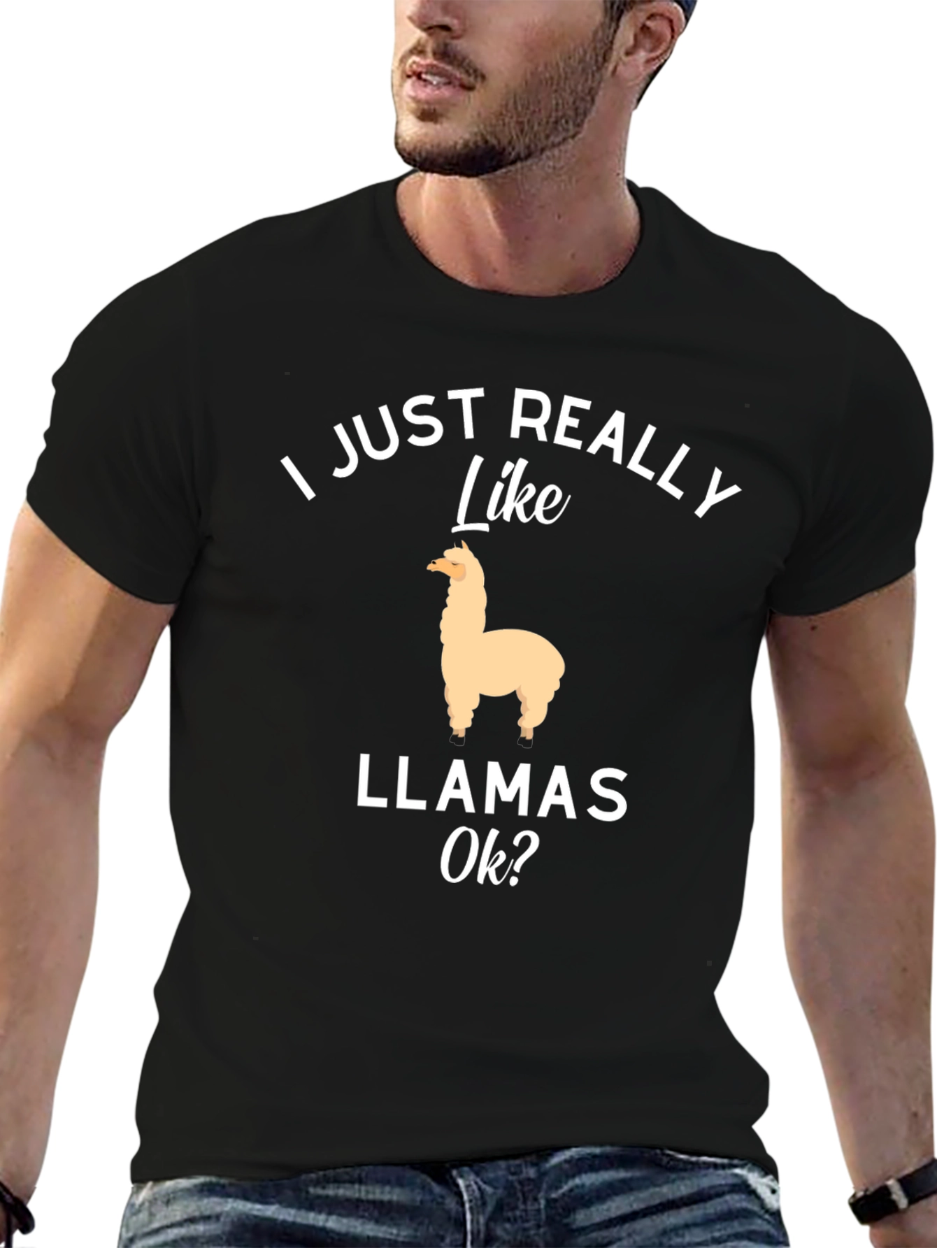 I Just Really Like Llamas Ok? T-Shirt
