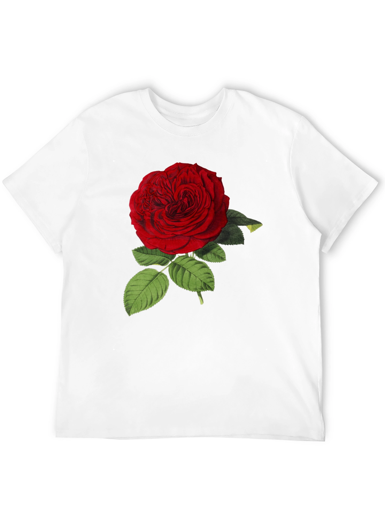 Red Rose Graphic Print Black T-Shirt