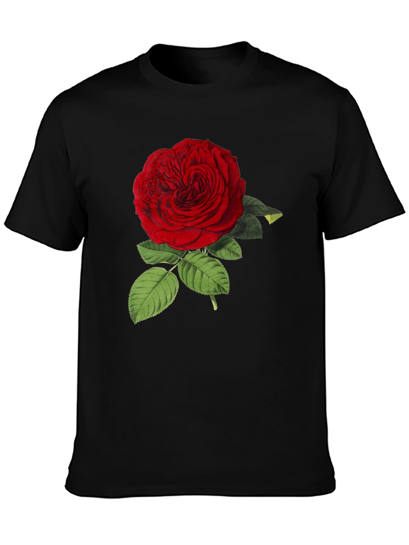 Red Rose Graphic Print Black T-Shirt