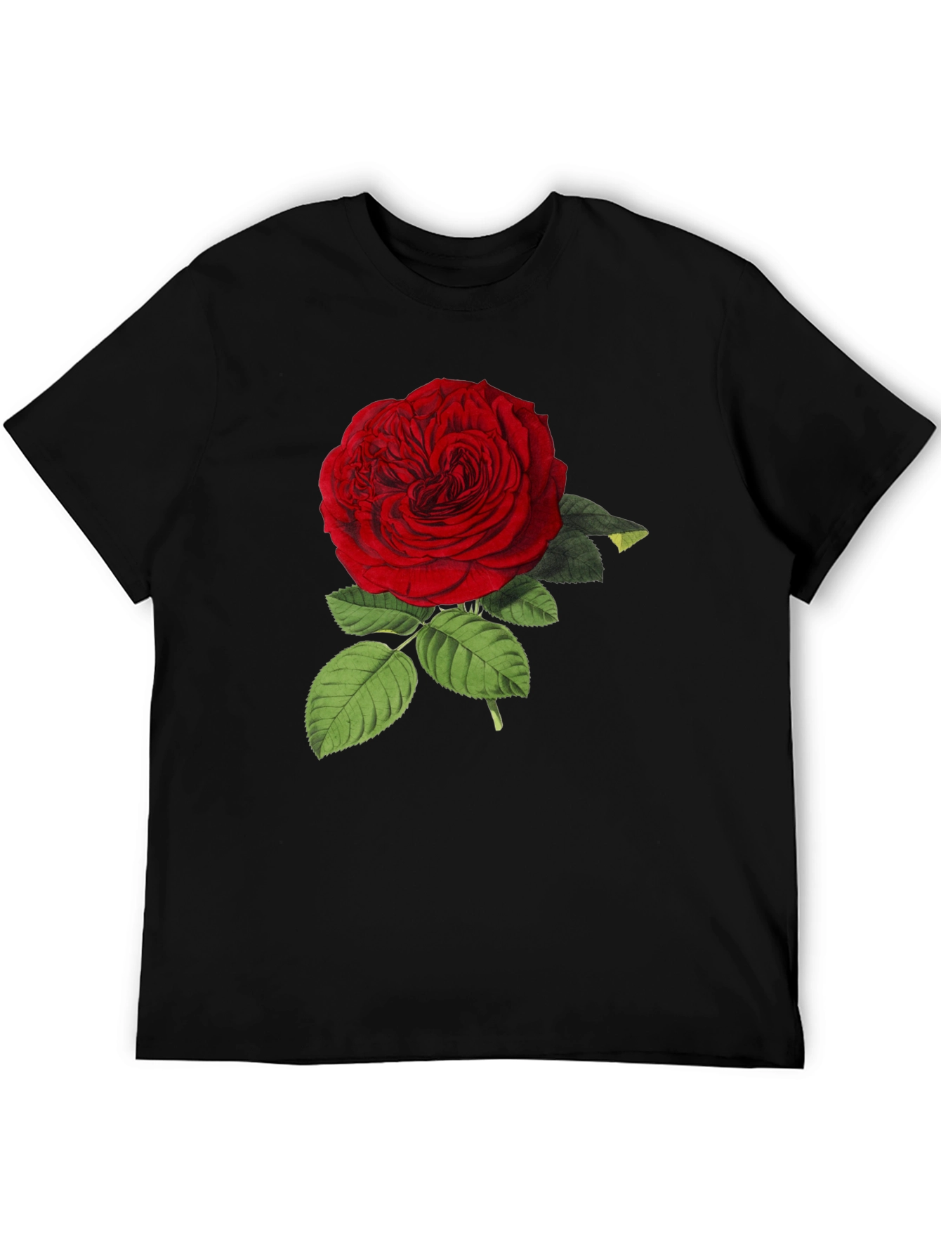 Red Rose Graphic Print Black T-Shirt