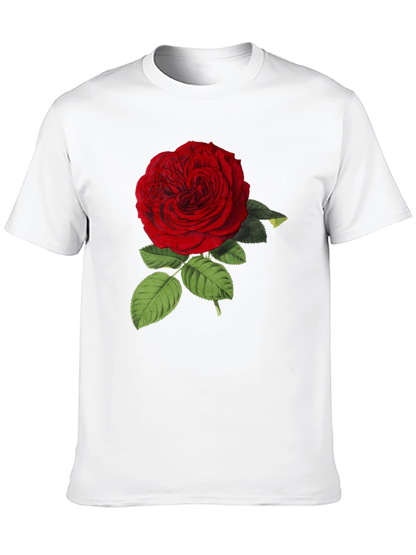 Red Rose Graphic Print Black T-Shirt