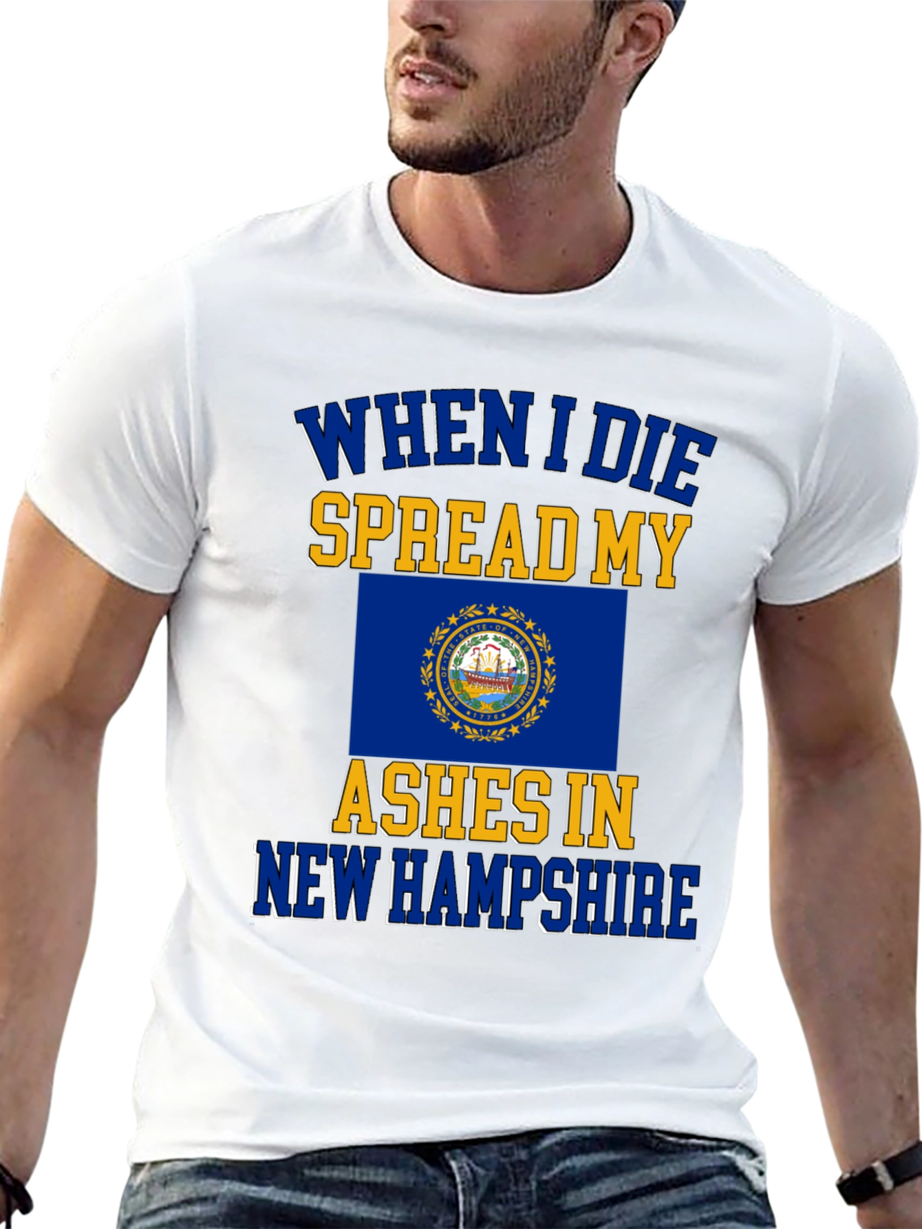 New Hampshire State Flag Ashes T-Shirt
