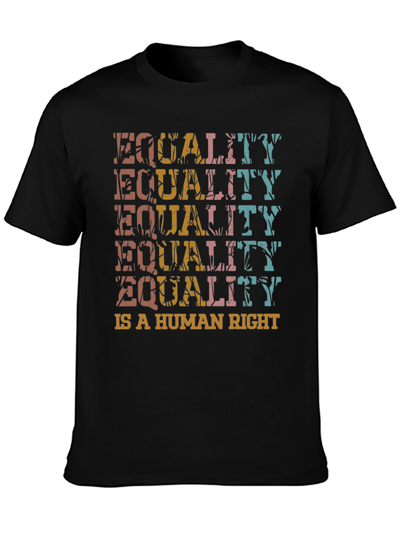 Equality is a Human Right Graphic T-Shirt