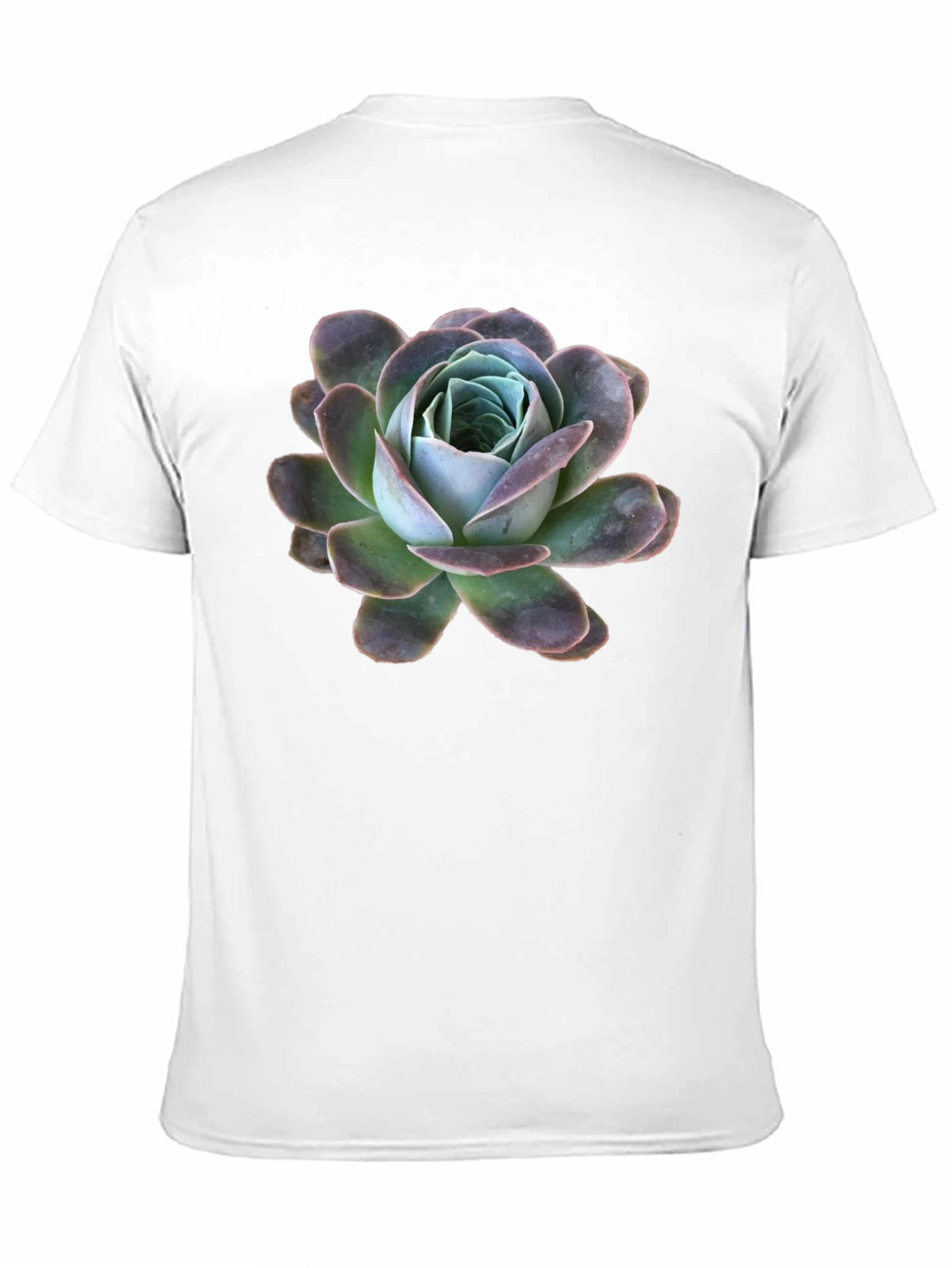 Black T-Shirt with Succulent Graphic