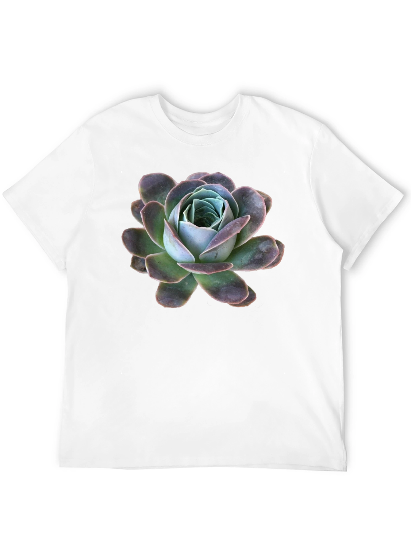 Black T-Shirt with Succulent Graphic