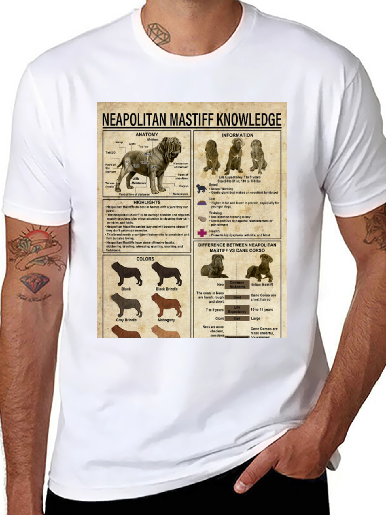 Neapolitan Mastiff Knowledge Graphic T-Shirt