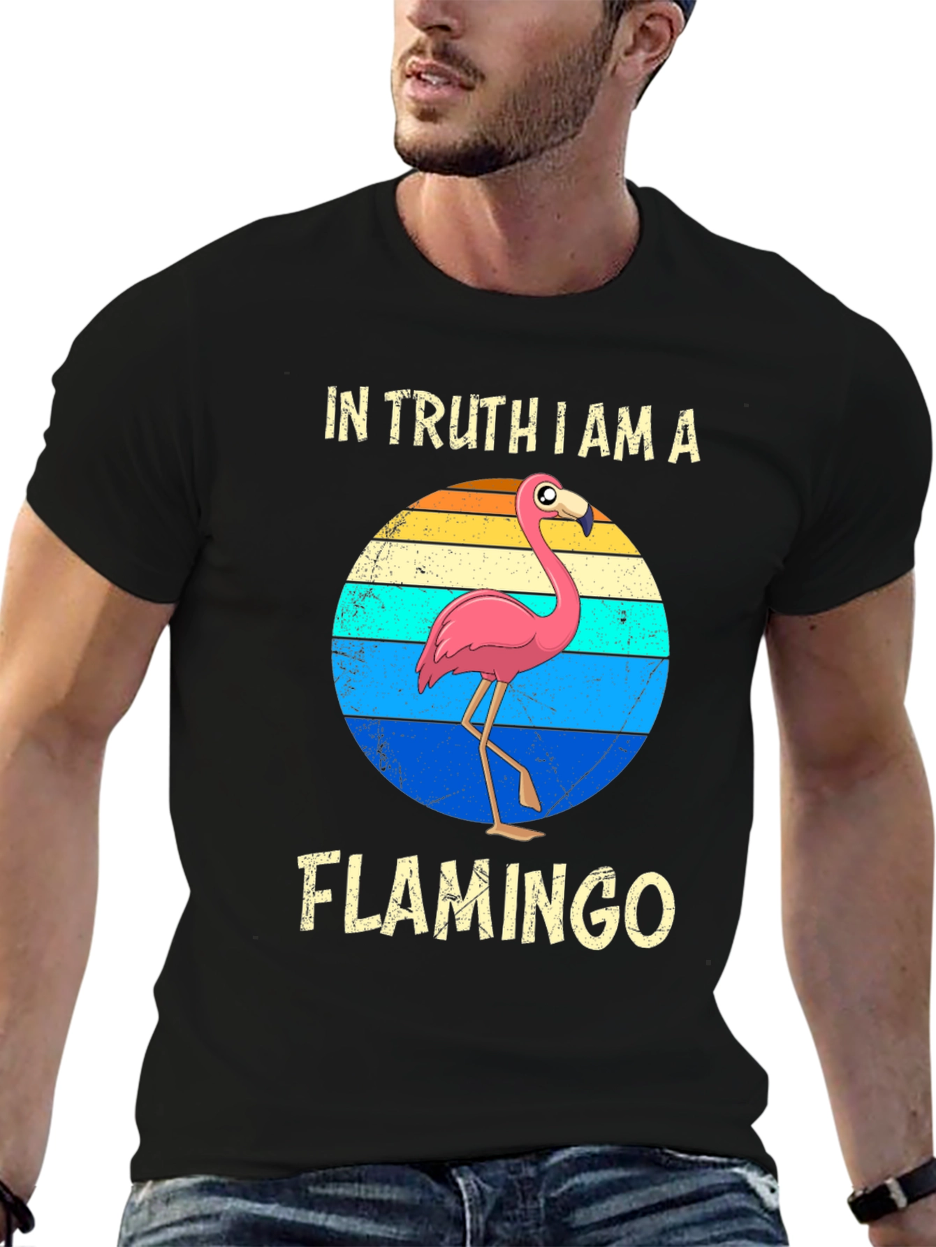 In Truth I Am A Flamingo T-Shirt
