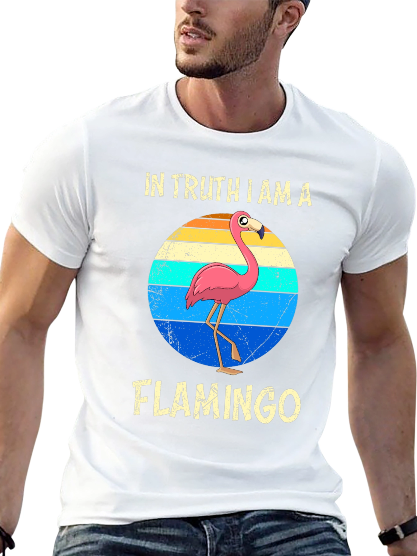 In Truth I Am A Flamingo T-Shirt